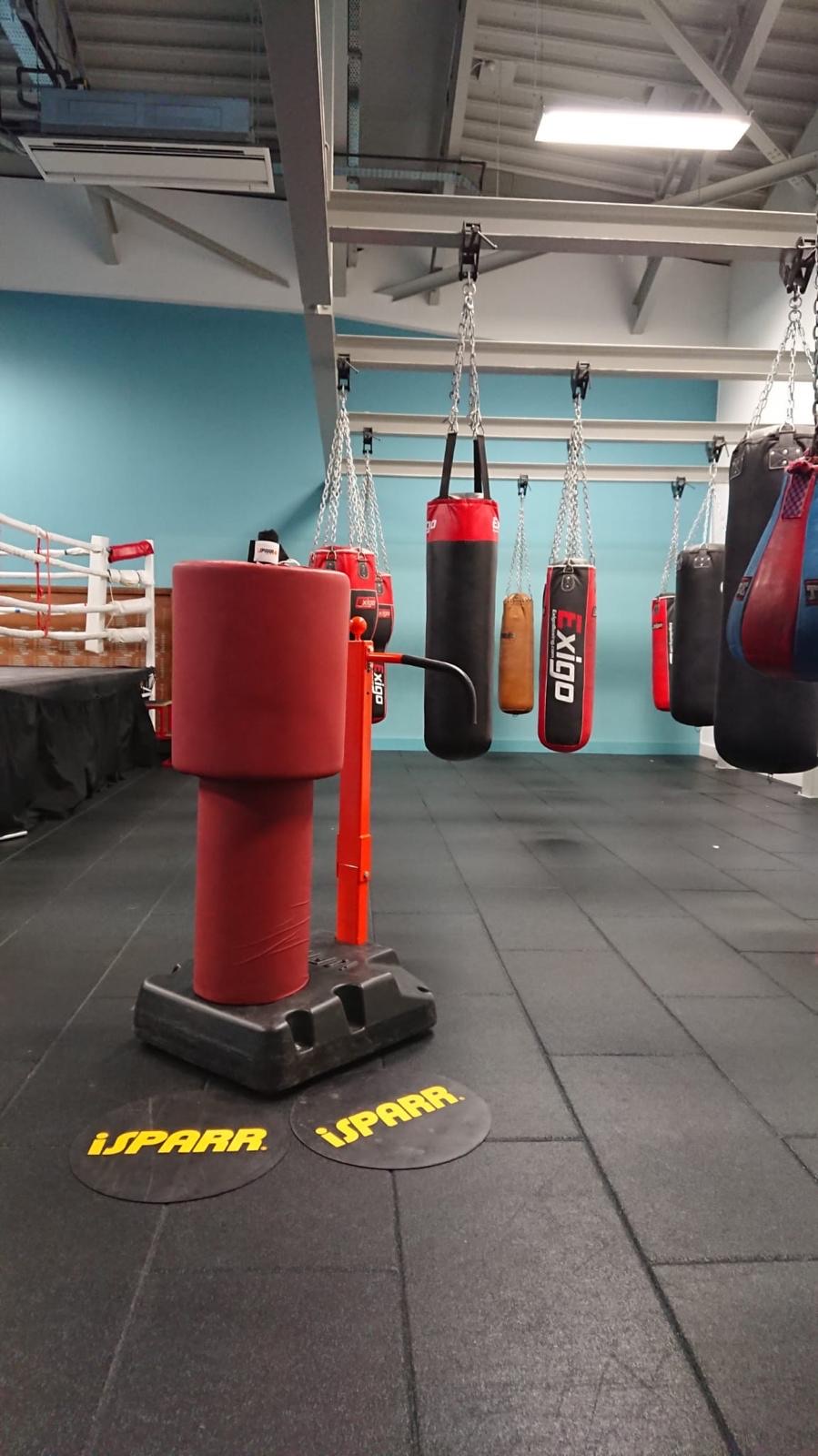iSPARR bag standing in a boxing gym beside hanging bags